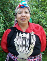 mapuche panchita