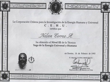 energia diploma